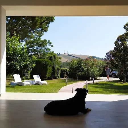 Pizzacalla Nocleg ze śniadaniem Pineto